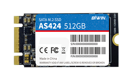 BIWIN AS424
