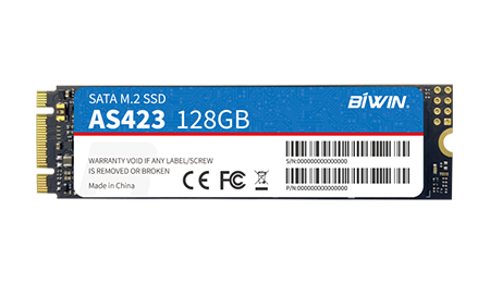 BIWIN AS423