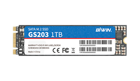 BIWIN GS203